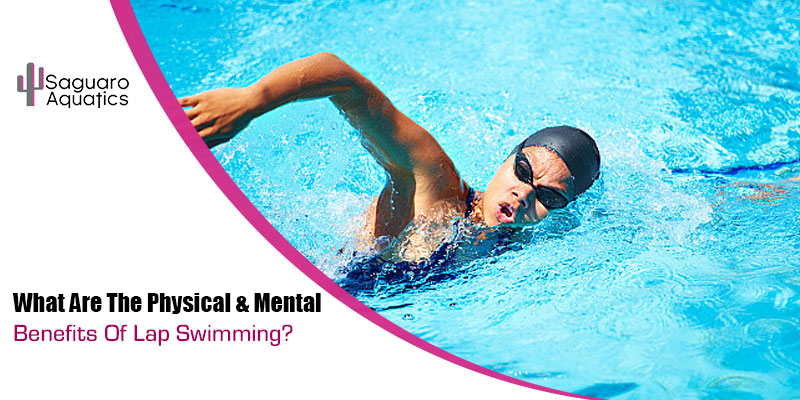 What Are The Physical & Mental Benefits Of Lap Swimming?