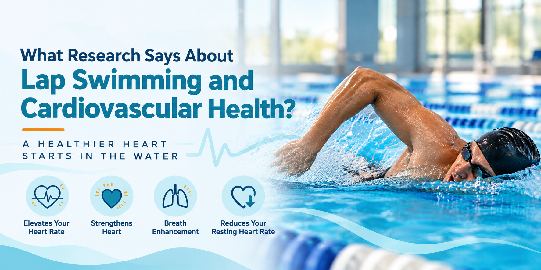What Research Says About Lap Swimming and Cardiovascular Health?